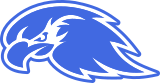Hamel Hawks amateur baseball logo